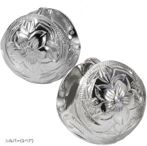 Piena sGiT[WJXeX316L p 1yA nCAWG[ {[ Eh vA XN[ t[vsAX Vo[ (Vo[(1yA))