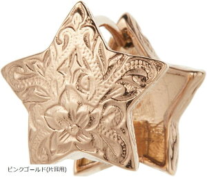 Piena sGi T[WJXeX316L Ўp 1 nCAWG[ X^[ vA XN[ t[vsAX fB[X sNS[h (sNS[h(Ўp))