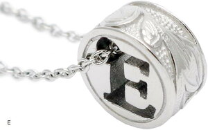 ANZT[Vbv T[WJXeX CjV y_glbNX nCAWG[ fB[X At@xbg(Vo[)