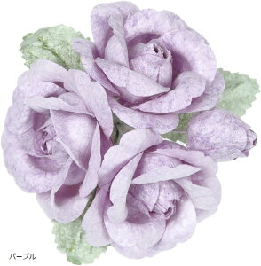 荗agp ΂  RT[W u[` 2WAY Nbv s tH[} fB[XANZT[(p[v, 6x5x4(cm))