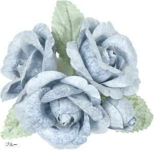 荗agp ΂  RT[W u[` 2WAY Nbv s tH[} fB[XANZT[(u[, 6x5x4(cm))