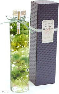 n[oE iLinapBOXt O[ 蕨 a  j LO v[g  j JXj Vzj Mtg  w L-04 (O[)