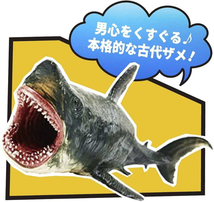 楽天市場 サメ フィギュア メガロドン ホホジロザメ ホオジロザメ さめ プラモデル 海洋生物 こども プレゼント 景品 スピード発送 Reapri リアプリ