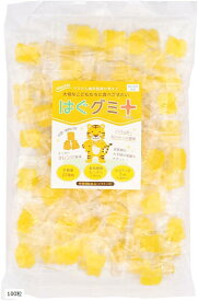 【楽天ランキング1位入賞】はぐグミ プラス オレンジ味 キシリトール100% 砂糖不使用 ビタミンD 乳酸菌 食物繊維 個包装 100粒 (100粒)