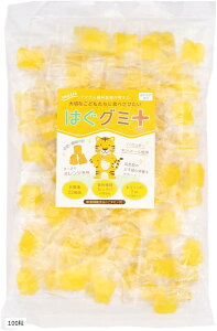 yyVLO1ʓ܁z͂O~ vX IW LVg[100% sgp r^~D _ H@  100 (100)