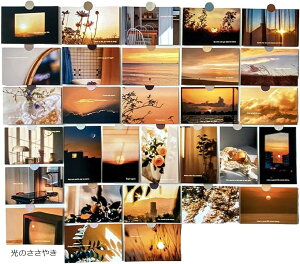 ŉ tHg |XgJ[h 30Zbg ͂TCY k ؍ CO CeA G ~j|X^[(̂₫)