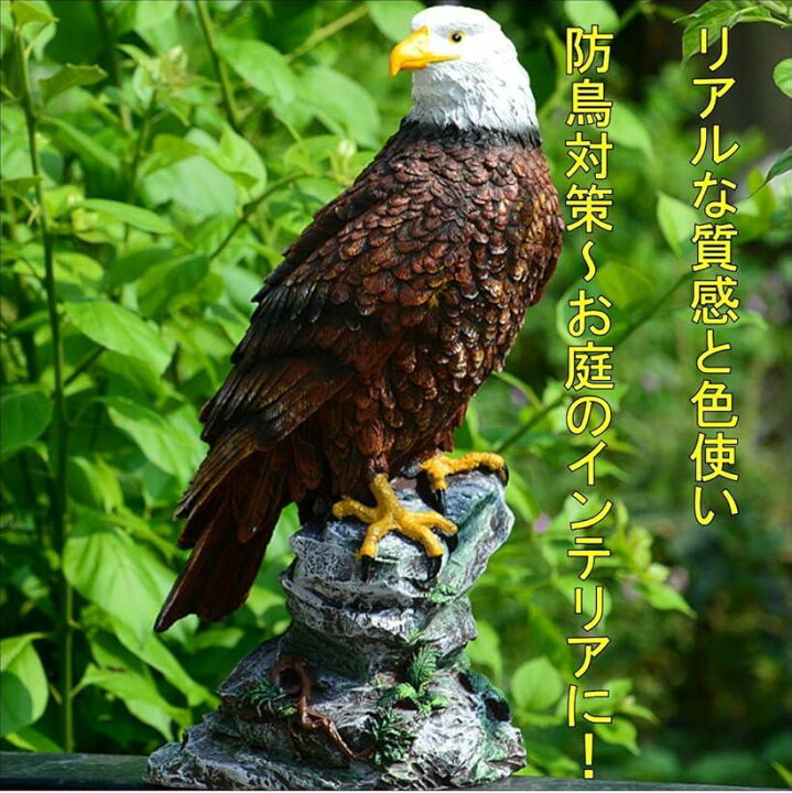楽天市場 猛禽類最強 鷲 ワシ 防鳥 害鳥 庭の装飾 置物 オブジェ カラス 野鳥 ハト スズメ 鳥よけ とり 対策 スピード発送 Reapri リアプリ