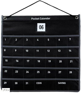薬 カレンダーポケット ウォールポケット お薬カレンダー 1ヶ月 壁掛け収納 小物 吊り下げ ブラック (ブラック)