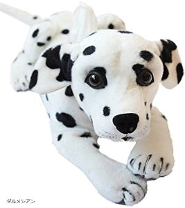 Aj} eBbVP[X Jo[ eBbV{bNX ʂ  g  _VA (_VA)