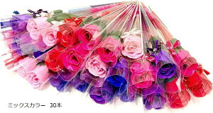 v`Mtg KN tOX \[vt[ bsOς  ސE z A mxeB ei SW482 ~bNXJ[ 30{ (~bNXJ[ 30{)