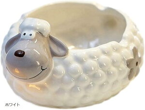 DM r Ђ  e[u  CeA ^oR  􂢂₷ iObY AVgC  [ zCg (zCg)