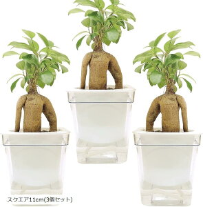植木鉢 スタイリッシュデザイン 自動給水 プラスチック プランター フラワー ポット SW1736スクエア11cm 3個セット (スクエア11cm(3個セット))