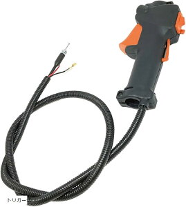 ݊imorytrade @ Xbgo[ w ėp gK[