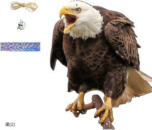 悯  ObY 悯  JX悯 JX ΍ObY x_ }V ݂艺 3  2 (t[TCY)