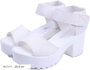  RtH[gT_ y fB[X(zCg, 25.5 cm E)