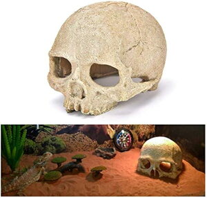 yyVLO1ʓ܁z঒ P[W VF^[ XJ P[X Ip NK gJQ hJ ANAE IuWF