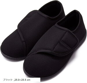  Xbp ChA V[Y  Xb| @ nr Vv jp C (ubN, 25.0`25.5 cm)