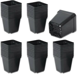 Aؔ c|bg v^[ vX`bN lp 50 (ubN, c/6cm@/6cm@/6.5cm)