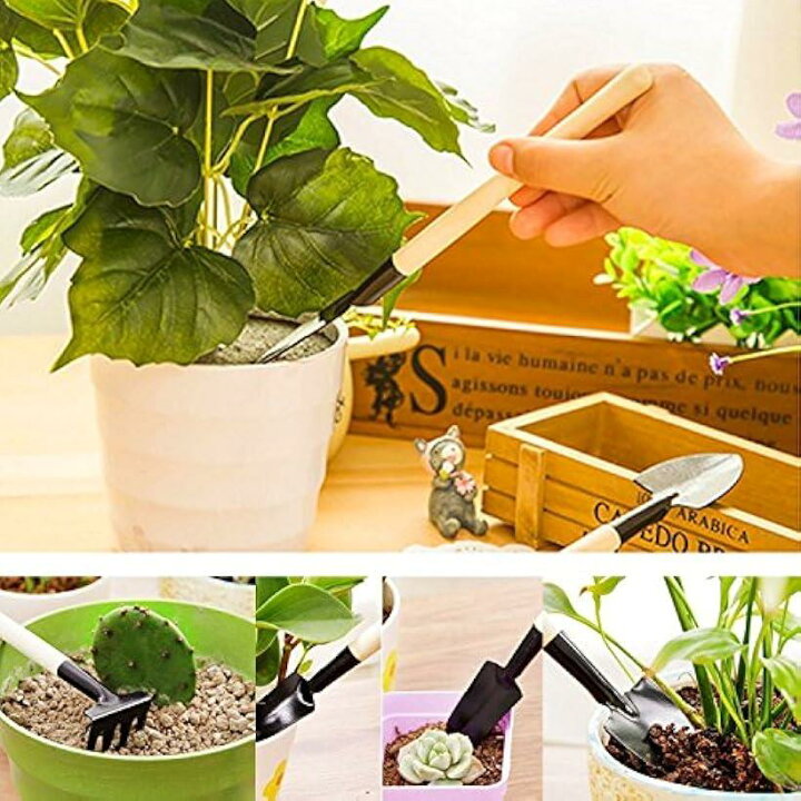 エプダ店 ガーデニングツール 多肉植物 室内 ミニ 園芸用品 庭造り手工具 観葉植物