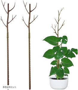 x ϗtA | 2{Zbg Y x C{| ϗtA̎x Xe pL |gX ׂ WCg Œ  } ߉\ K[fjO   Z 30cm 70cm 100cm (F2{