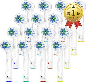 16{ Trustnice uE I[B p duV ւuV }`ANVuV EB50 braun oral b p ݊uV ւ C ƒp 