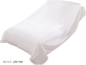 ƋJo[ V[g 唻 悯 z t@j`[Jo[ Jo[ (zCg, 350x300)