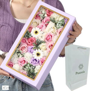 \[vt[ t[{bNX a v[g ̓ ސE hV̓  ܕt (sN, )