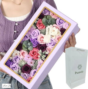 \[vt[ t[{bNX a v[g ̓ ސE hV̓  ܕt (p[v, )