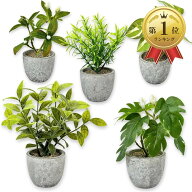 【楽天ランキング1位入賞】フェイクグリーン 観葉植物 卓上 5点セット 光触媒 ミニ インテリア おしゃれ …