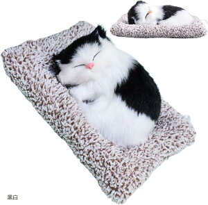 L u CeA JCC Yi lR kCO~ A L u₩ ԓ { qL G Lጸ EL fIhh(, Medium)