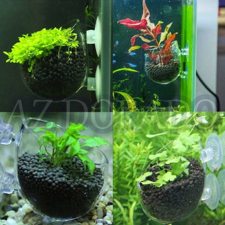 楽天市場 楽天ランキング1位入賞 アクアリウム 内装 水槽 水草 ポット オーナメント エビ 隠れ家 隠れ場所 3コセット Reapri