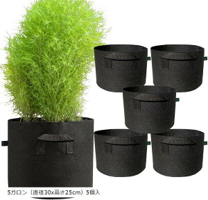 sDzv^[ 5K a30x25cm5 (ubN, 5Kia30x25cmj5)