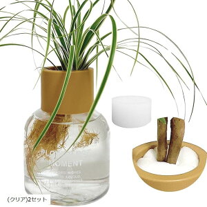 【楽天ランキング1位入賞】ハイドロカルチャー 水耕栽培 観葉植物 育成キット スポンジ付 透明 プラスチック ポット ロゴ入り ボトル型 SW2492 クリア2セット ((クリア)2セット, Small)