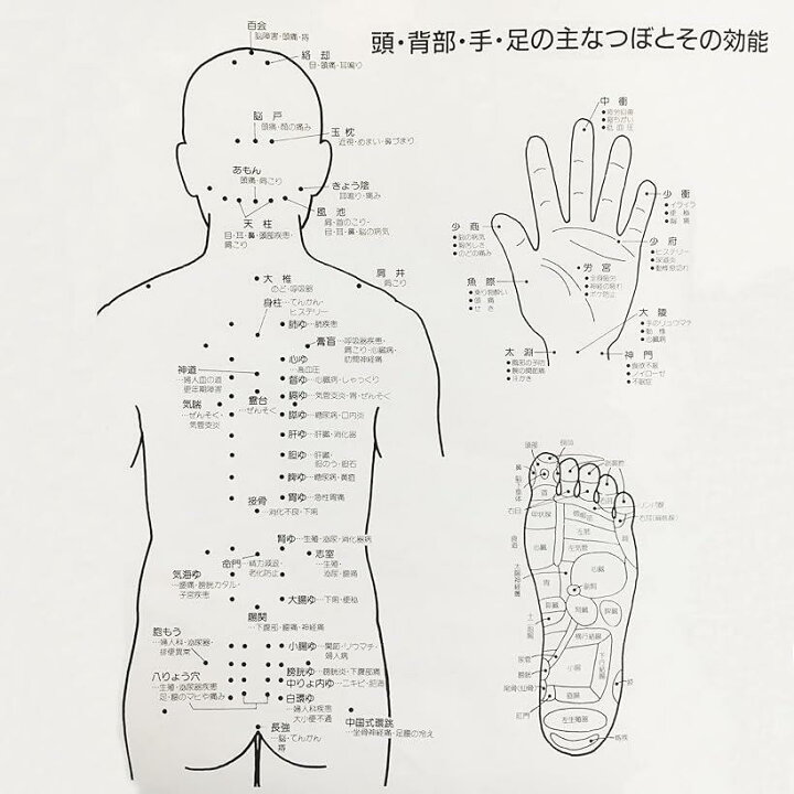 楽天市場 全身に使えるつぼ押しくん 肩 腰 首 足裏 足つぼ マッサージ 健康グッズ つぼマップ付き リラックス 全身つぼ押し器 スピード発送 Reapri リアプリ