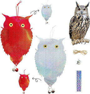 悯 ӂ낤 悯 JX Qb   LL A 3Zbg