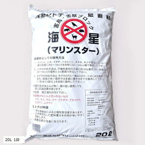 yyVLO1ʓ܁zVRqgf  }X^[ 20L CmVV VJ nNrV ^kL b΍ 悯 bQ΍ 1(20L 1)