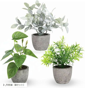 tFCNO[ ϗtA  CeA ~j G} u  fake plant green  sv Mtg (~`iBZbgj, 3Zbg)