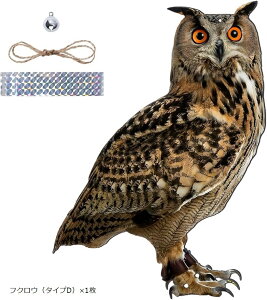  悯 ObY JX悯 悯  JX΍  x_ tNE    h }V ݂艺 (uE, tNEi^CvDjx1)