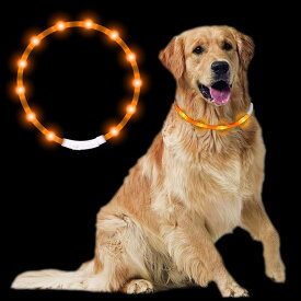 最新型 犬用光る首輪 散歩 ライト usb充電式 装着簡単 柔らかい 軽量 サイズ調整可能 ペット 猫 LED光る首輪 安全対策 視認性 3つの発光モード (オレンジ)