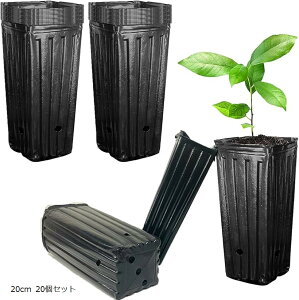 |bg c|bg v^[ [^ O ||bg Aؔ rj[ (ubN, 20cm 20Zbg)