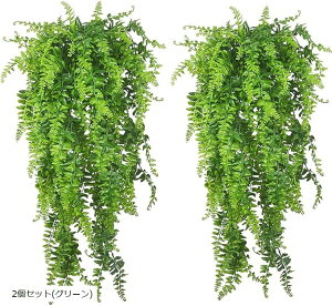 tFNO[ CeA ϗtAtFCN ^ ݂艺  CeAG V_ ͂Ȃ  EH[O[ 2 (2Zbg(O[))