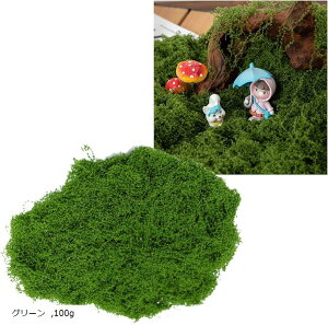 lH tFCNO[ WI}  A ~ DIY  Cxg fBXvC (O[, 100g)