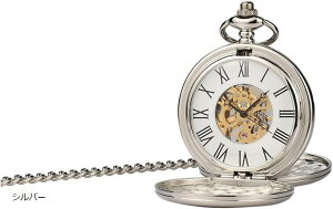 yyVLO1ʓ܁zv `F[t 芪 drsv (Vo[)