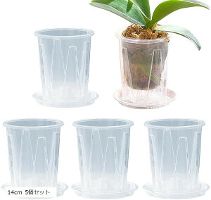 �A�ؔ� ���� ��M�t�� �X���b�g�� �ϗt�A�� �v���X�`�b�N �v���� (�N���A, 14cm 5�Z�b�g)