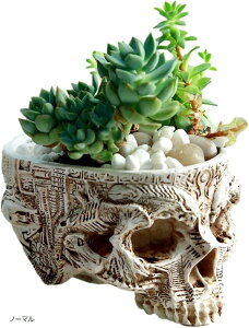 XJ K[f |bg hN v^[ Aؔ CeA  W  [ KCRc A  Cxg  nEB ObY u IuWF (m[})