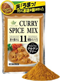 カレー粉 グルテンフリー レシピ付き 中辛 スパイス カレールー カレーパウダー 11種類 ブレンド 30皿分 150g(1袋)