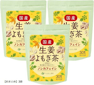 I  Y mJtFC M I 傤 eB[obO N (u܂Ƃ߁v3)