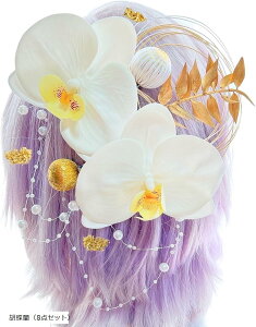  a l Ǝ    p[ Zbg SW2517 (Ӓi8_Zbgj)