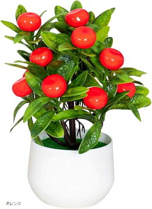 tFCNO[ CeA lHϗtA   ~jTCY sv ʕ (IW)