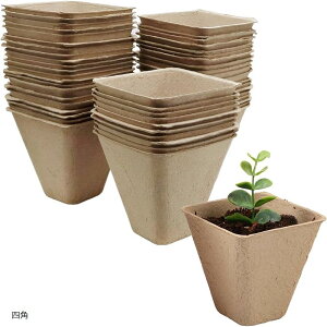 c|bg Aؔ pv  |pi ܂ ƒ؉ K[fjO (uE, M[ (lp))